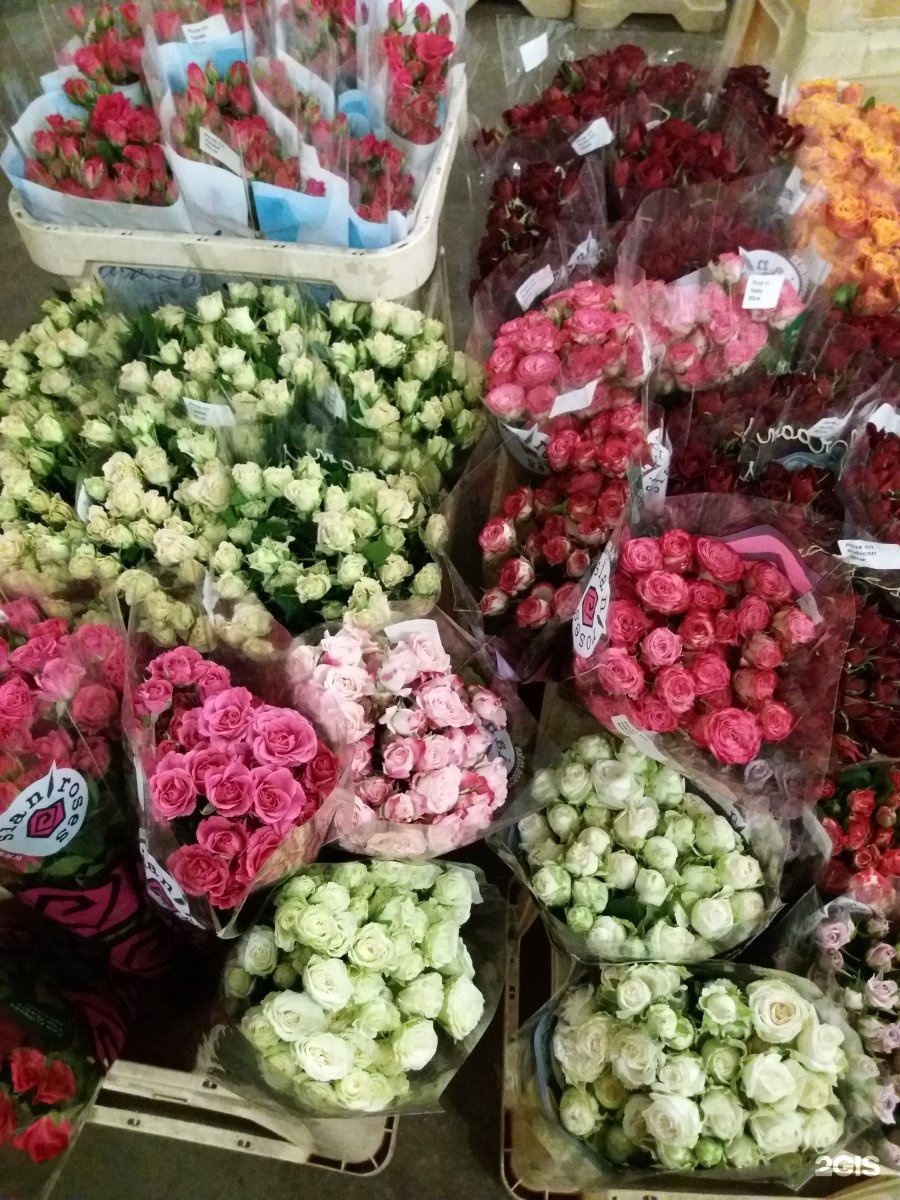 Где Купить Цветы По Оптовым Ценам