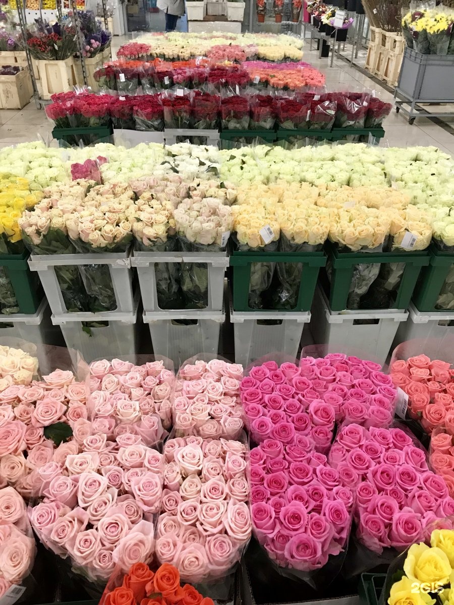 Где Купить Розы В Спб