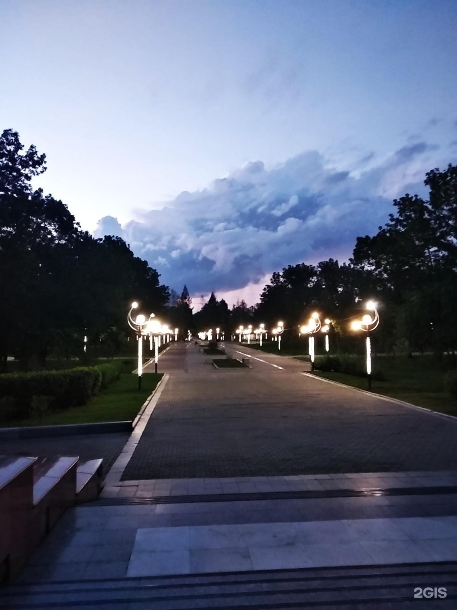 Парк Гагарина г Хабаровск