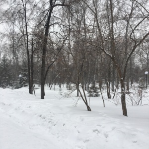 Фото от владельца Центральный парк культуры и отдыха