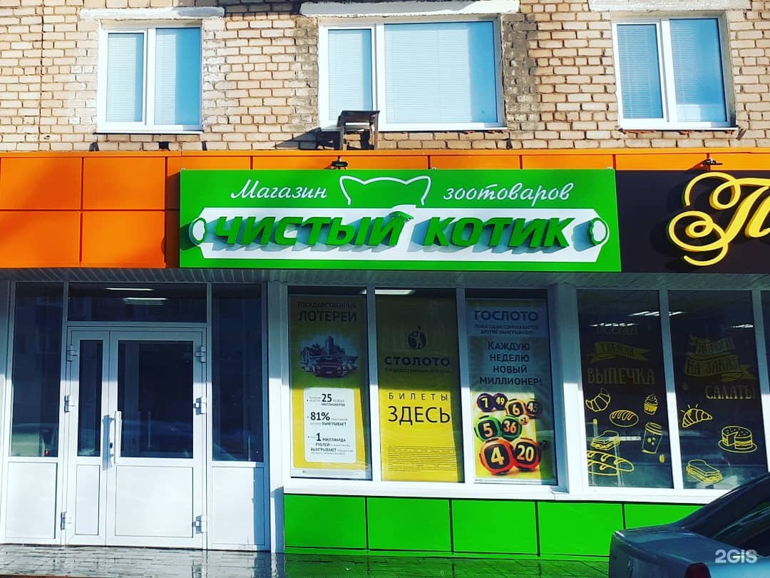 Черный кот череповец