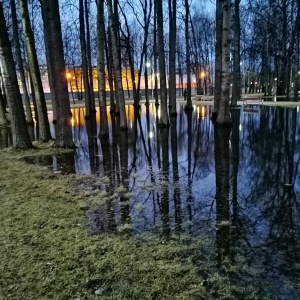 Фото от владельца Парк им. Есенина