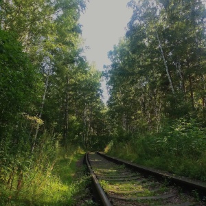 Фото от владельца Сосновый бор, парк культуры и отдыха