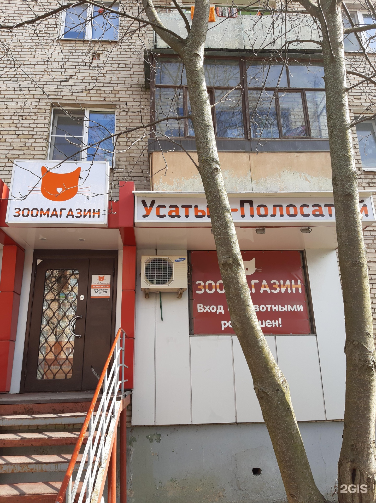 Усатый полосатый зоомагазин тула Усатый полосатый зоомагазин тула