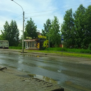 Фото от владельца Цветы для Вас, сеть цветочных салонов