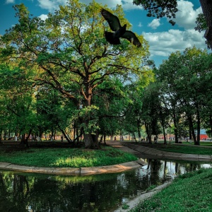 Фото от владельца Парк культуры и отдыха им. Ю.А. Гагарина