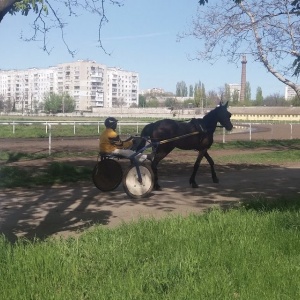 Фото от владельца Одесский государственный сельскохозяйственный ипподром