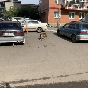 Фото от владельца ЖилФонд, ООО, городская управляющая компания