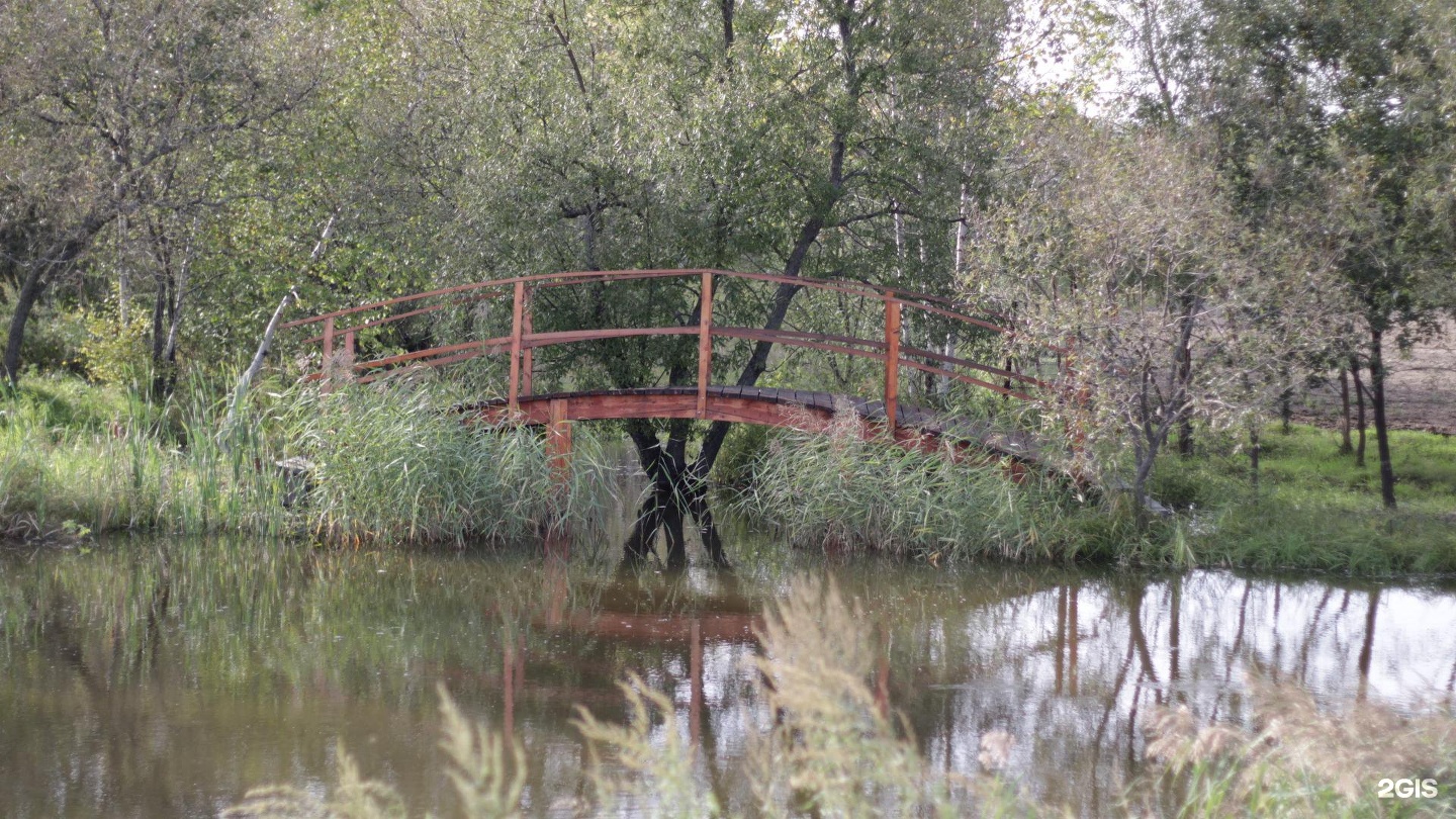 Конный клуб хабаровск