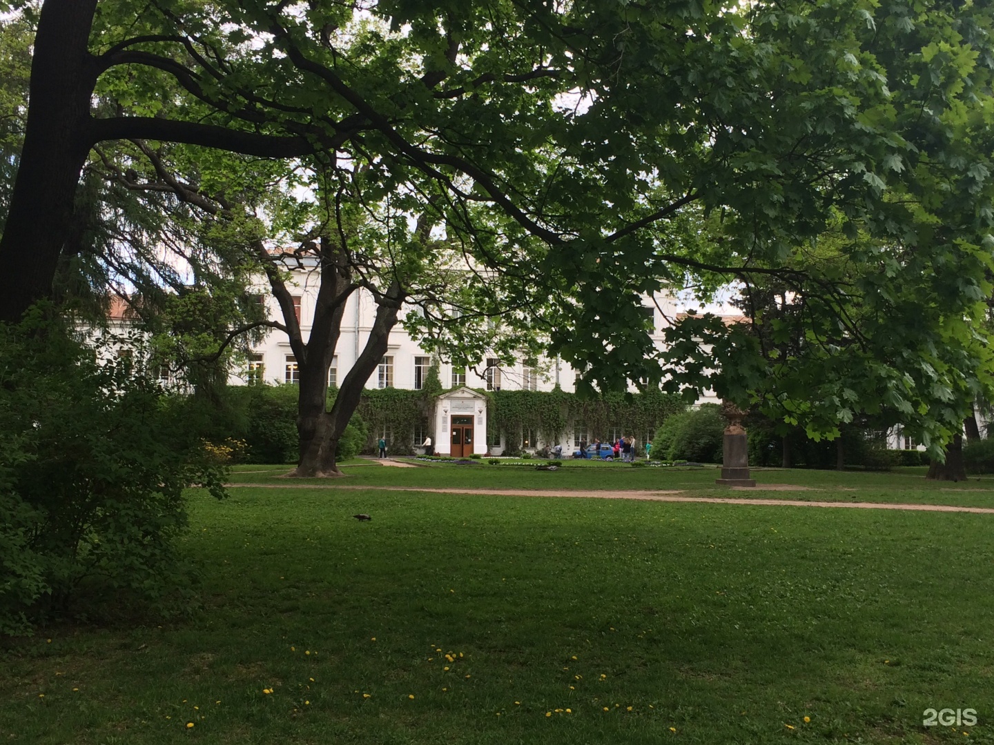 Forest university. Лесотехнический университет СПБ. Лесотехническая Академия СПБ. Лесной институт Питер. Ленинградская лесотехническая Академия им с м Кирова фото.