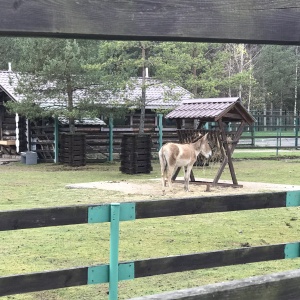 Фото от владельца Ярославский зоопарк