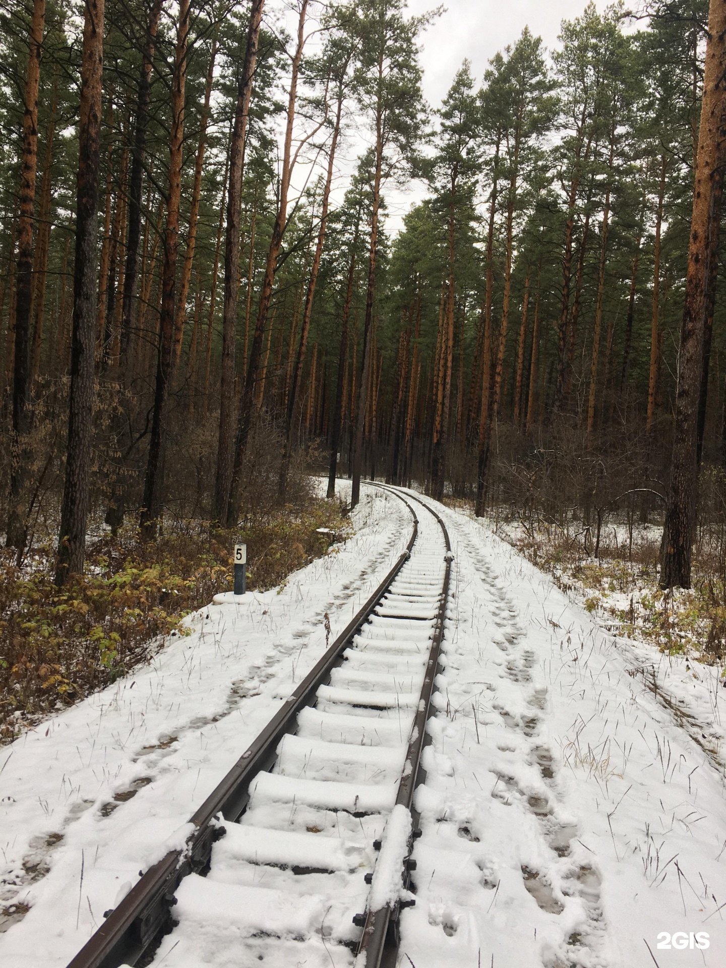 Локомотив заельцовский