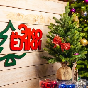 Фото от владельца iElki, магазин искусственных елок и новогодних украшений