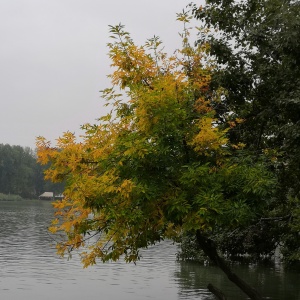 Фото от владельца Солнечный остров, парк культуры и отдыха