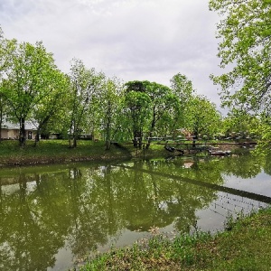 Фото от владельца Алые паруса, загородный комплекс