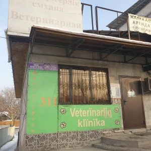 Фото от владельца Алматы ВЕТ, ветеринарный центр