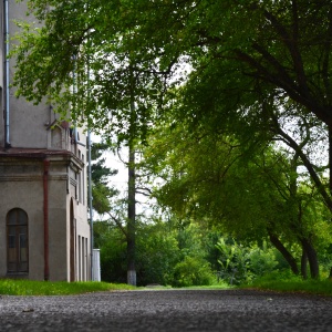 Фото от владельца Ботанический сад, ОмГАУ им. П.А. Столыпина