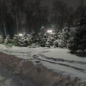 Фото от владельца Берёзовая роща, парк культуры и отдыха