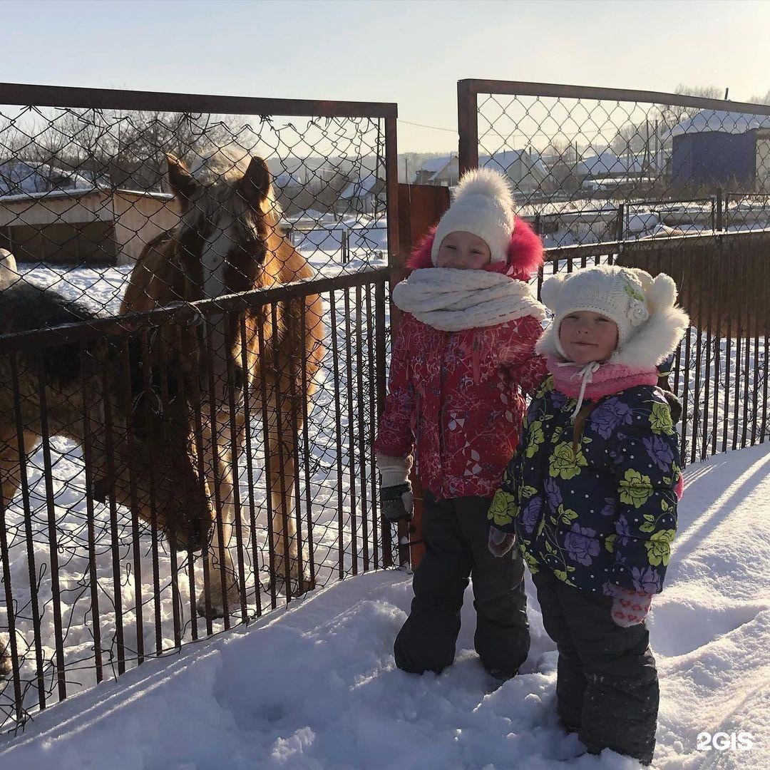 Переулок нижний томск