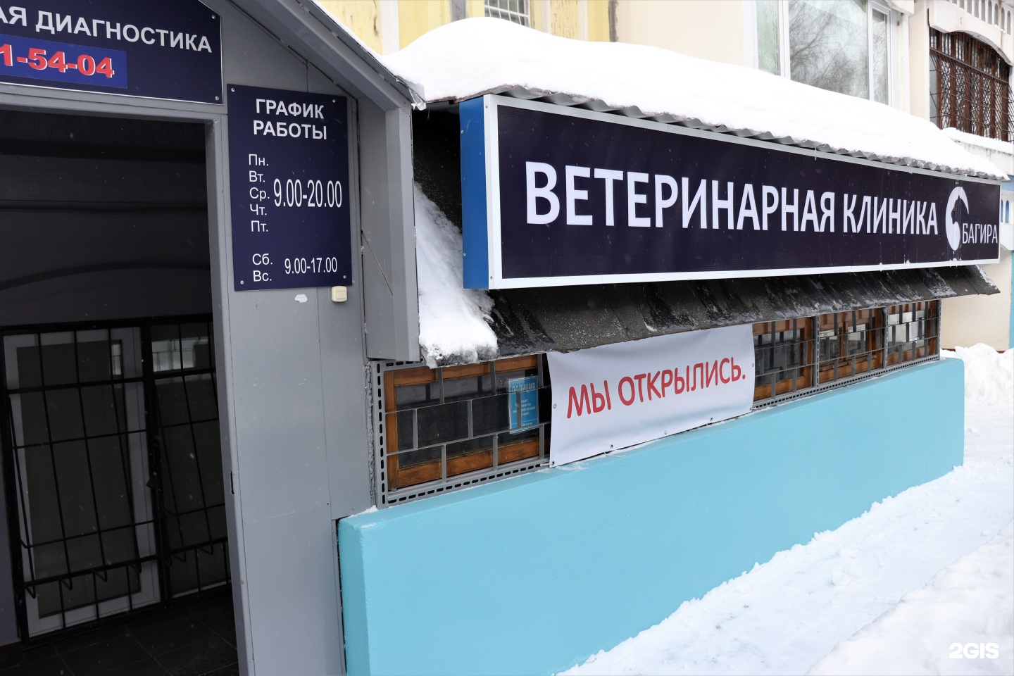 Багира Ветеринарная Клиника