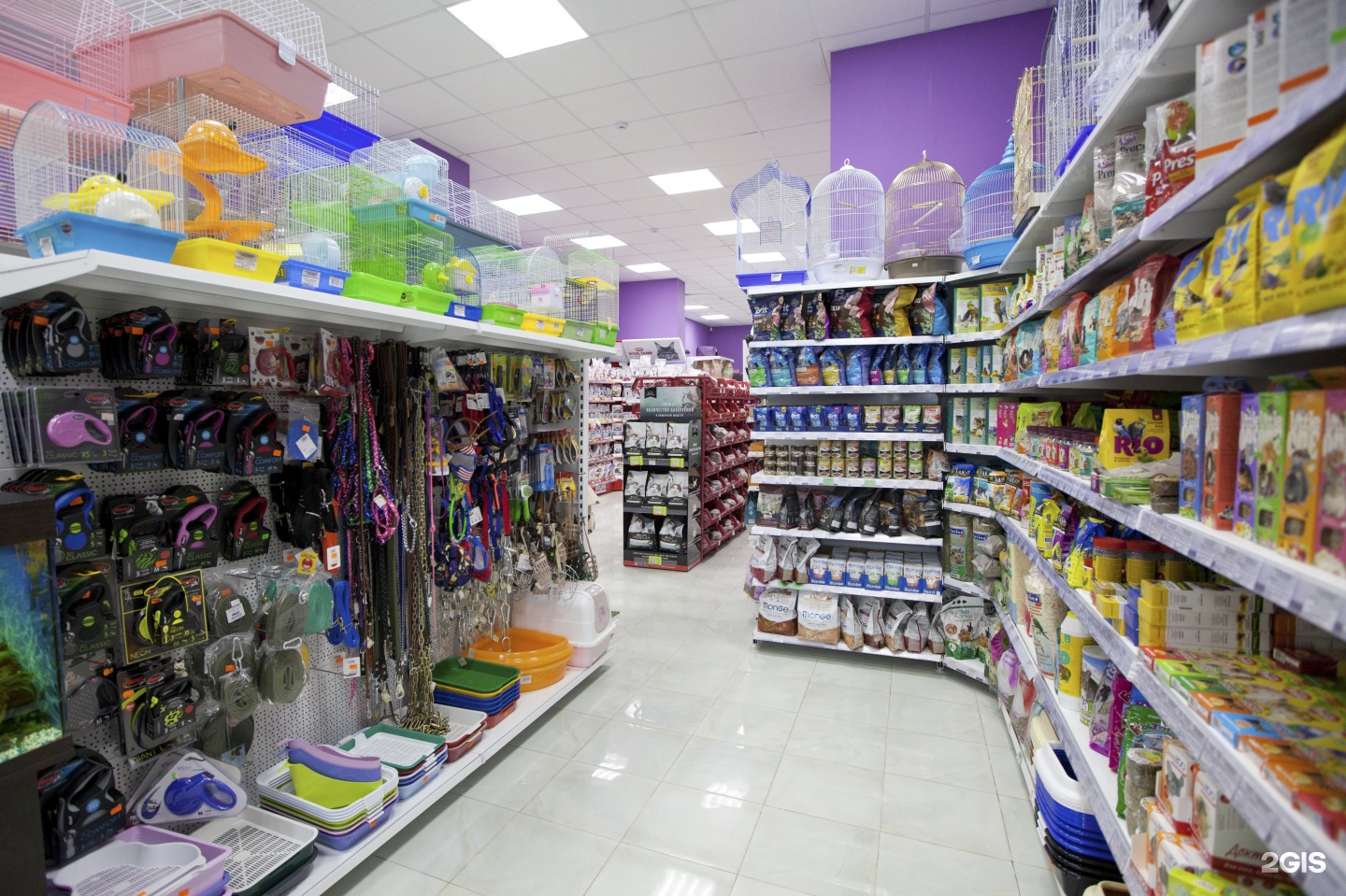 зоомагазин четыре лапы в мурино на улице новый. калуга братьев луканиных 7 зоомагазин. усадьба зверюшкино волгоград. кошкин дом зоотовары. зоомагазин вывеска.