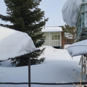 Фото от владельца Джунгли, сеть зоомагазинов