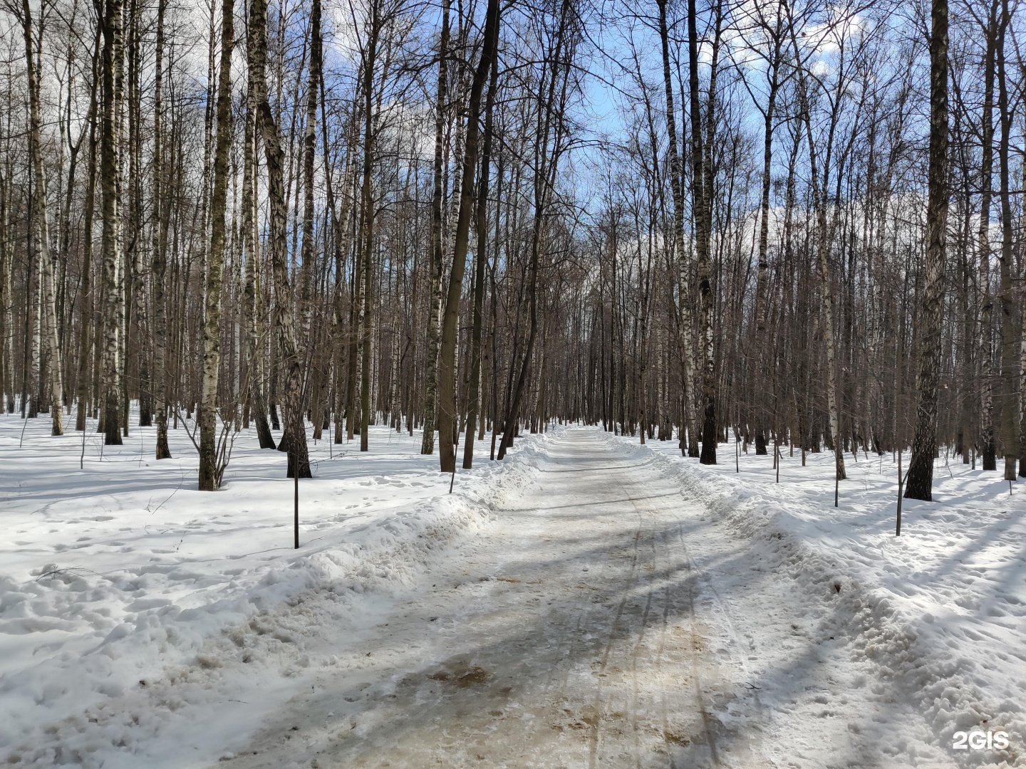 Москва природно исторический парк косинский пляж. Косинский парк Москва. Природно-исторический парк «Косинский». Косинский парк фото. Москва природно-исторический парк Измайлово место для пикника.