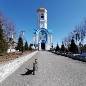 Фото от владельца Покровский Александро-Невский женский монастырь