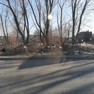 Фото от владельца Городской экологический центр, ООО