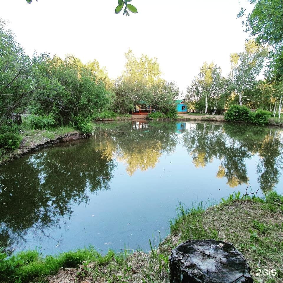 Березовая роща