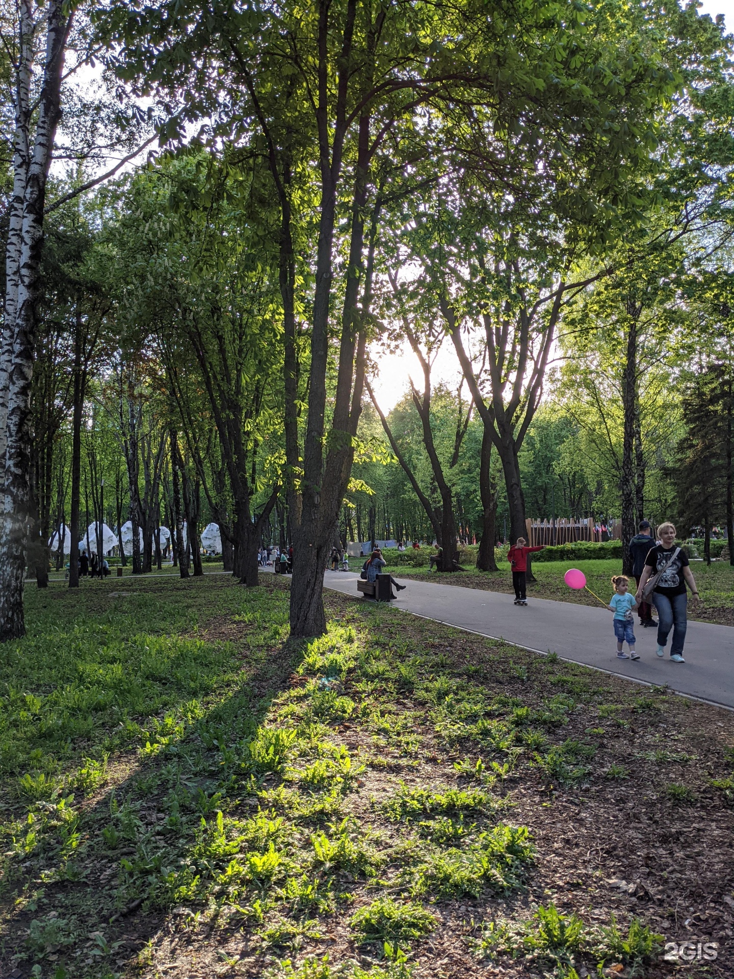 Парк имени гагарина тюмень. Гагаринский парк Тюмень. Быханов сад Липецк. Сквер Гагарина Тюмень.