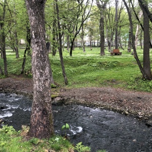 Фото от владельца Городской парк культуры и отдыха им. Ю.А. Гагарина