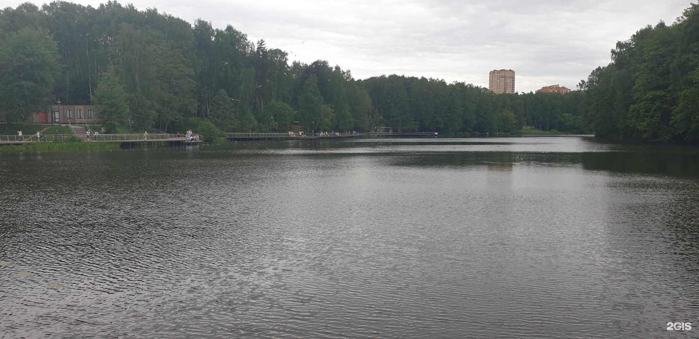 Балашихинский городской