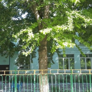 Фото от владельца Дюймовочка, детский сад №44
