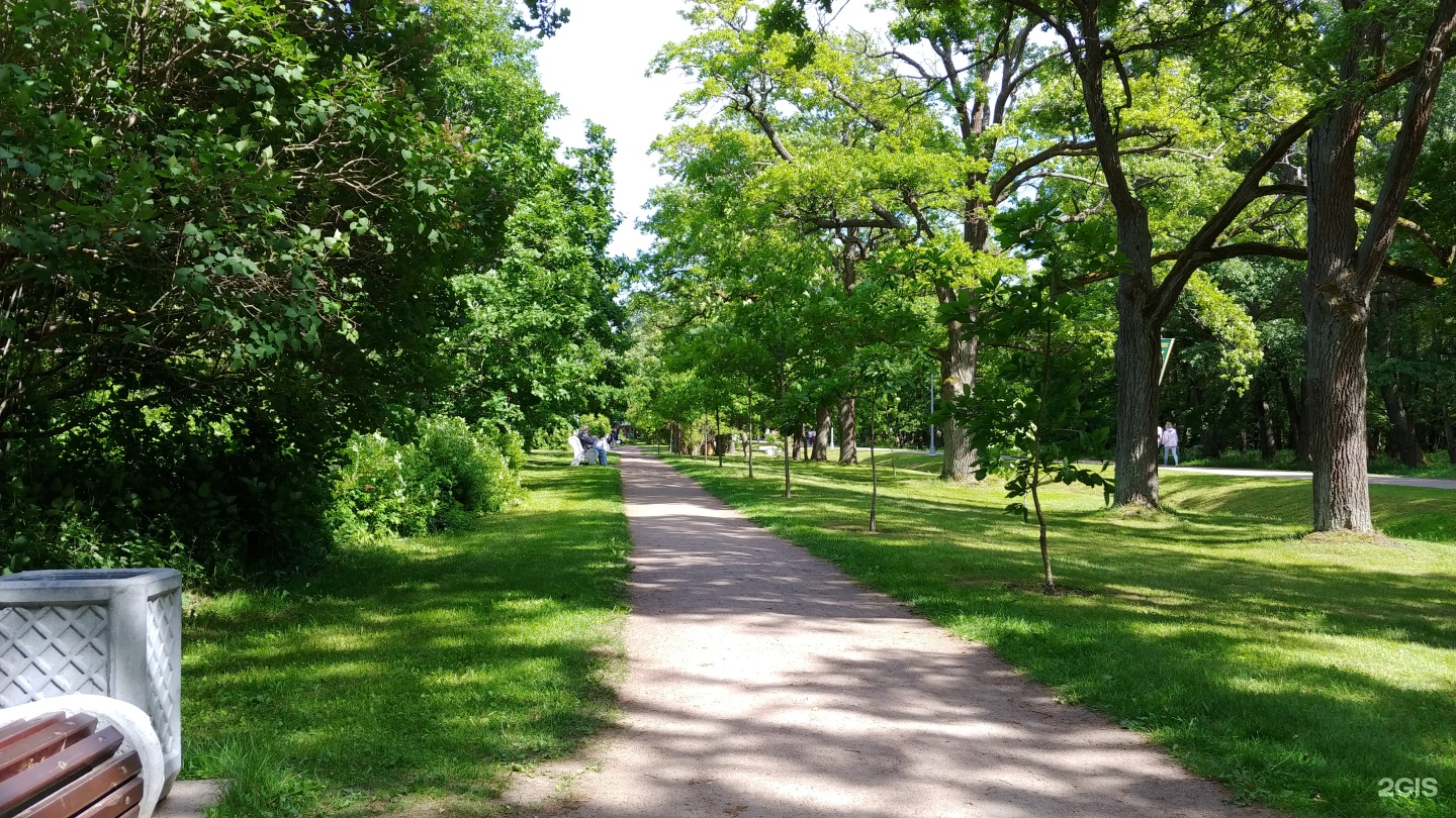 Лесопарк дубки подольск фото