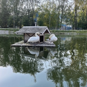 Фото от владельца Лианозовский, парк культуры и отдыха