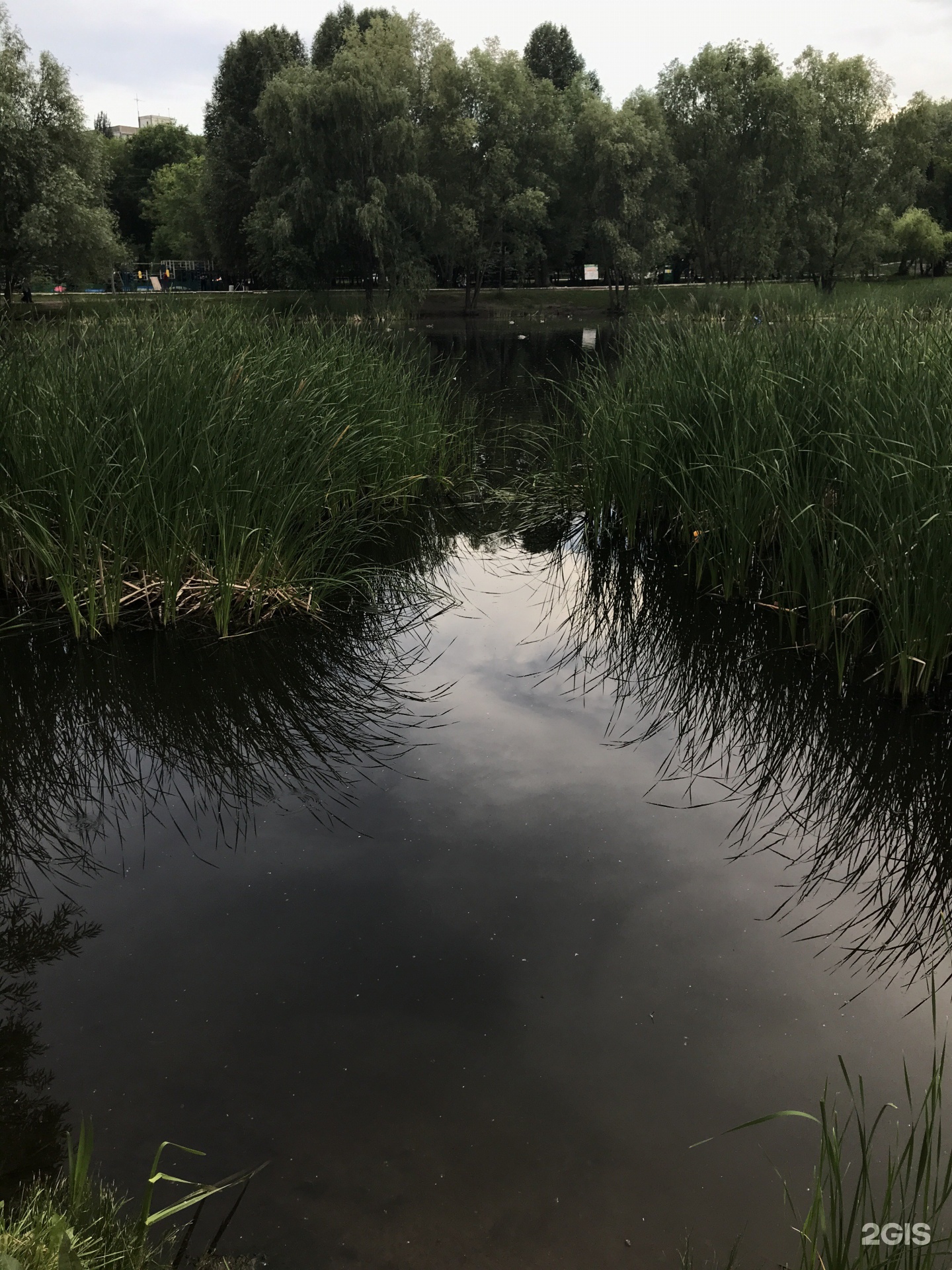 Воронежские озера Самара
