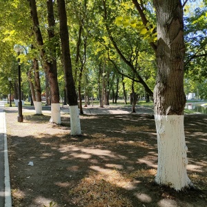 Фото от владельца Парк культуры и отдыха им. Ю.А. Гагарина