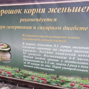 Фото от владельца ЖЕНЬШЕНЬ, крестьянско-фермерское хозяйство