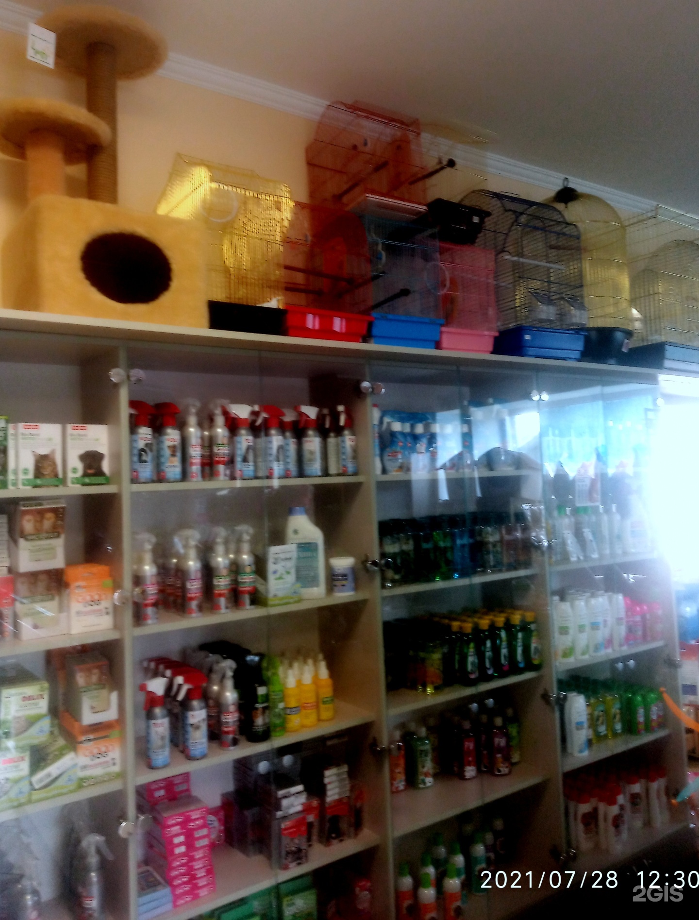 Зоомагазин на первомайской. Зоомагазин на первомайской