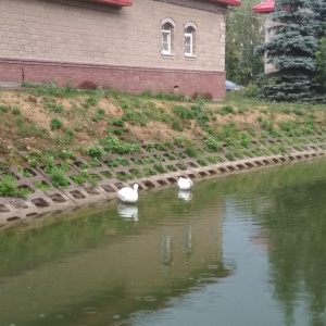 Фото от владельца Сад культуры и отдыха им. С.Т. Аксакова