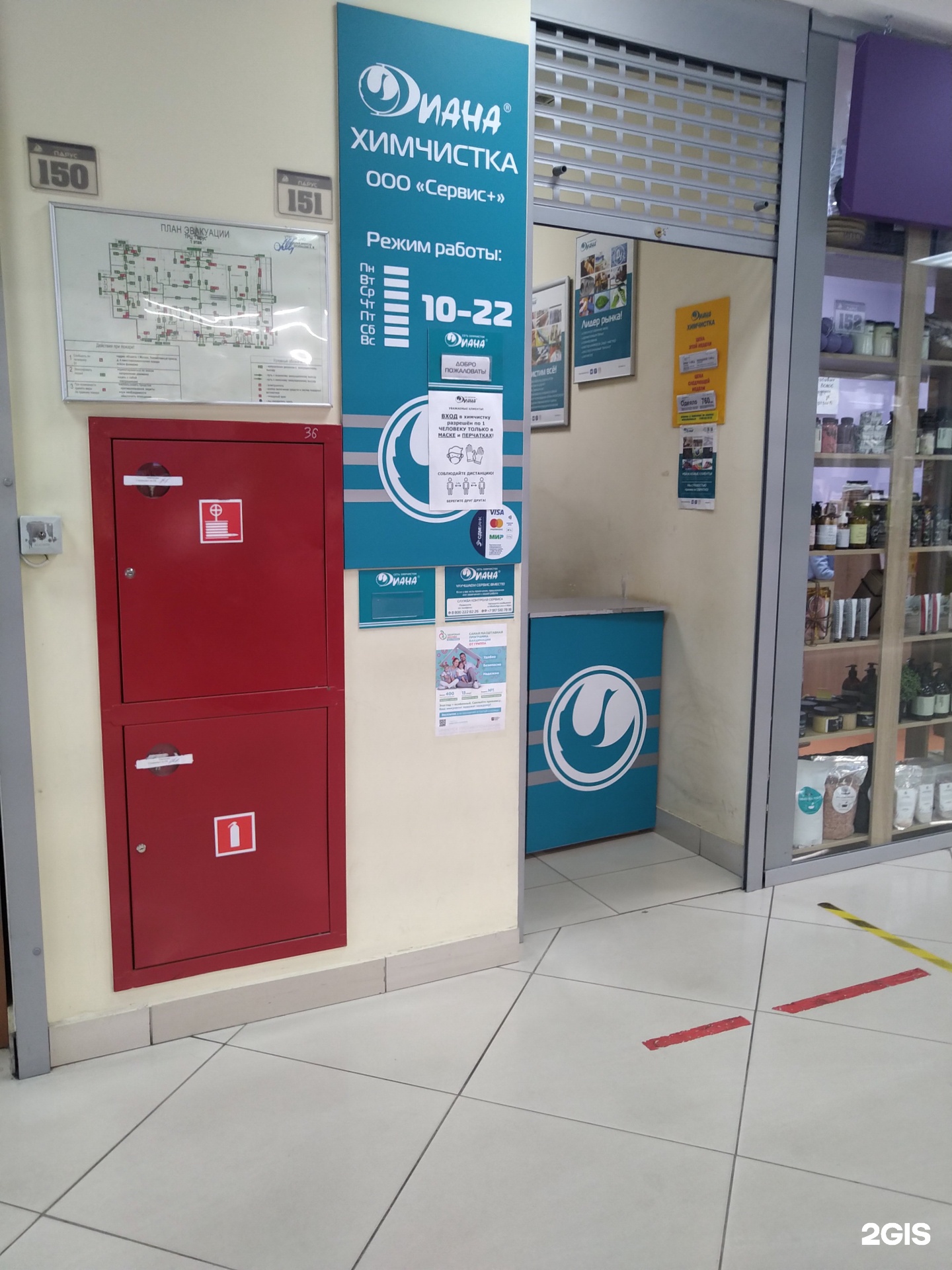 Первая химчистка химки. Химчистка в тц щелково. Сеть химчисток в санкт-петербурге. Химчистка тц. Химчистка в тц.