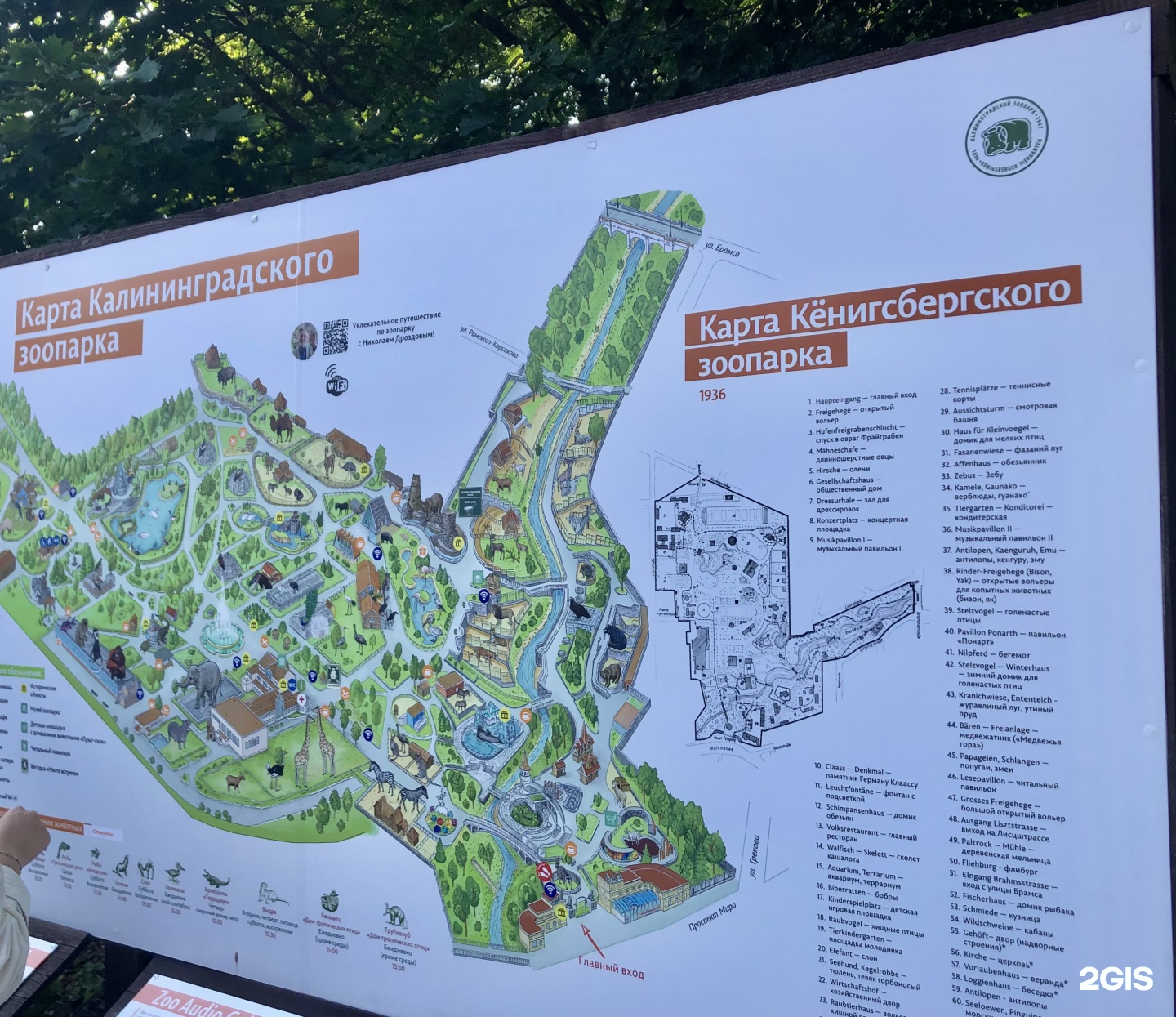 Схема зоопарка в калининграде