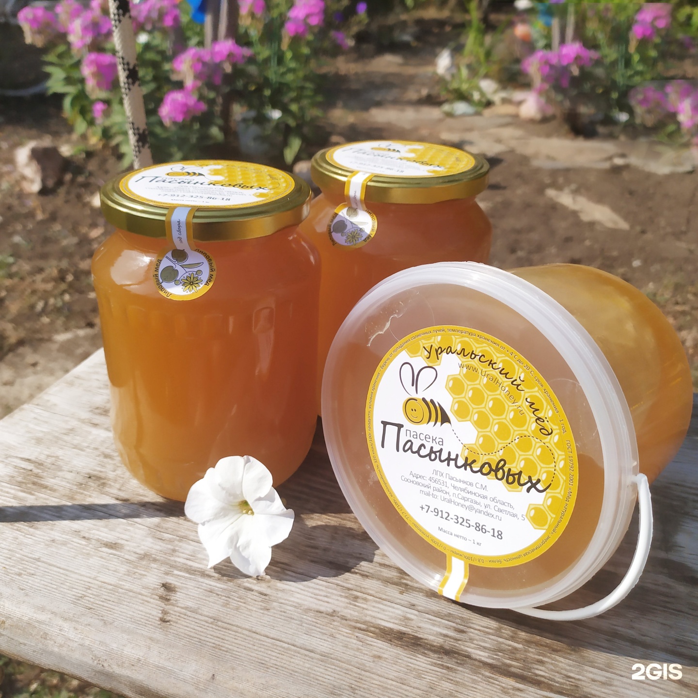 печати пчеловода с медведем. мед пчельник гречишный. пасека семьи моториных. семейная пасека. мед семьи бартель.