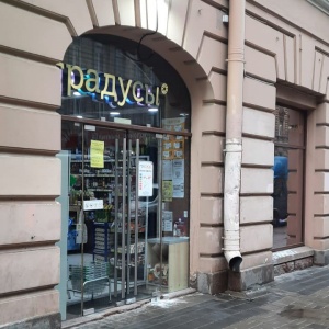 Ленгаз Санкт Петербург Загородный Проспект
