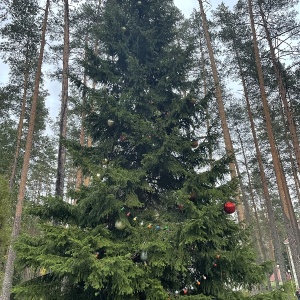 Фото от владельца Raivola, загородный гостиничный комплекс