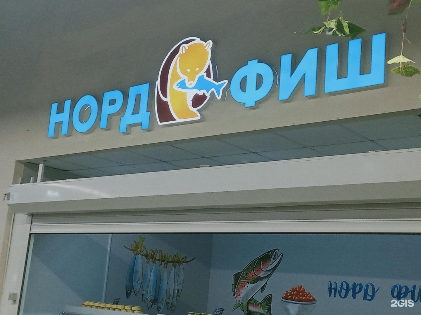 Рыба России магазин.