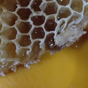 Фото от владельца Медок, магазин продуктов пчеловодства