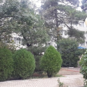 Photo from the owner Rus, Sanatorium