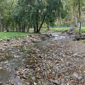 Фото от владельца Городской парк культуры и отдыха им. Ю.А. Гагарина